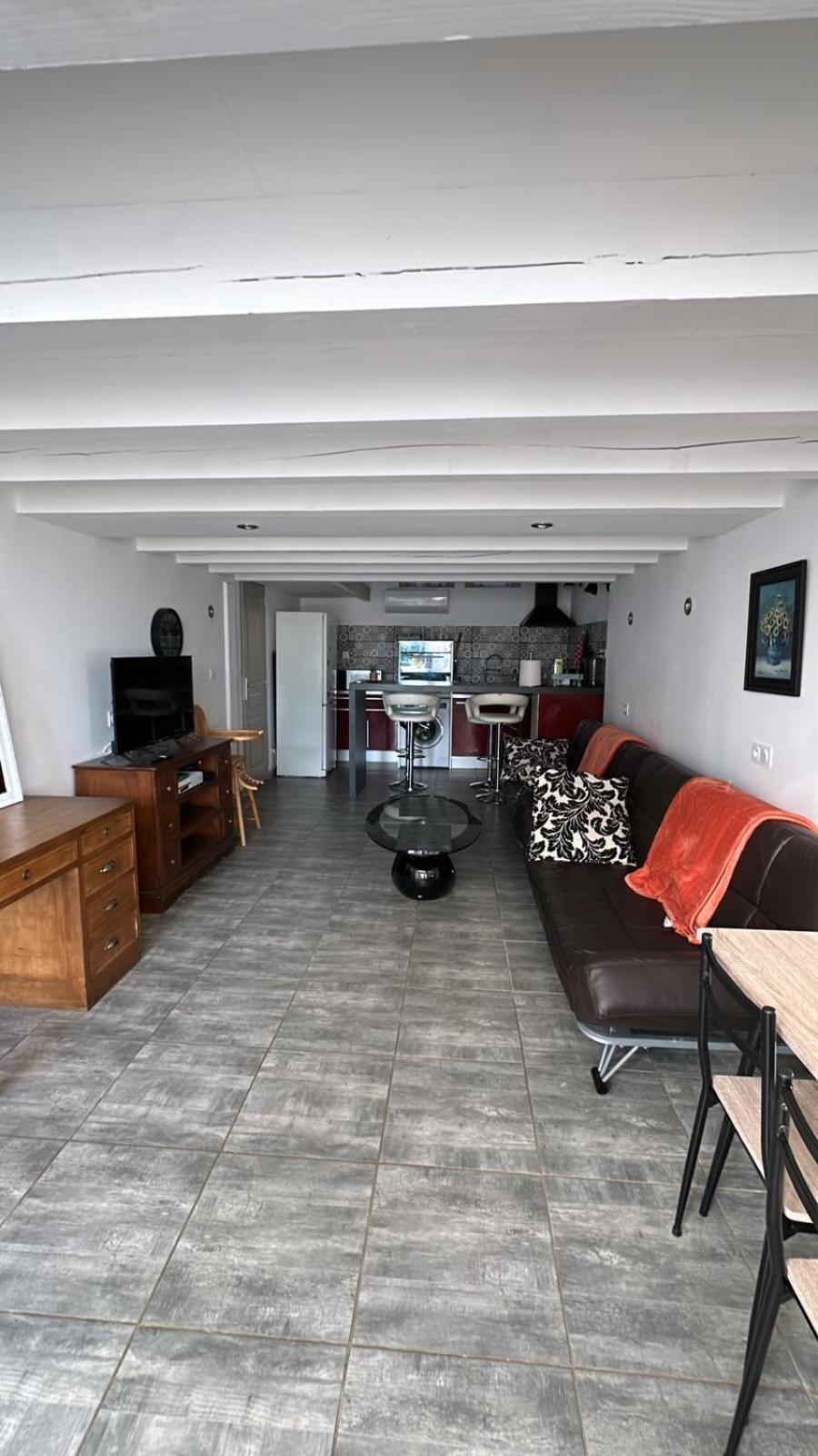 Appartement Chez Ben Avec Tout Le Confort Clim Wifi Netflix Gratuit à Castres  Extérieur photo